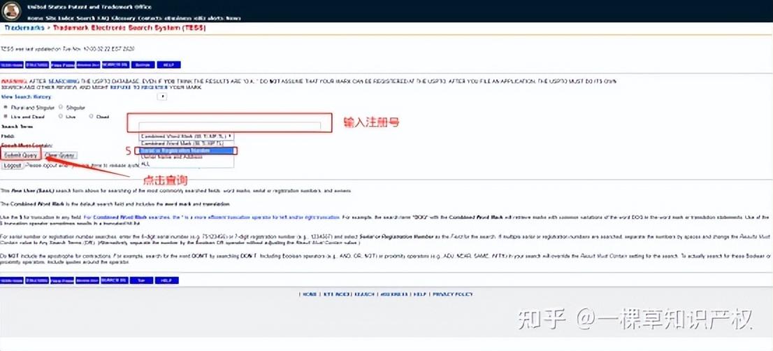 美国商标注册号证书怎么看？ 电子版证书可以下载吗？