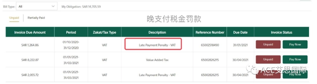 跨境电商卖家如何支付沙特VAT？ 附2个常用的税款缴纳途径
