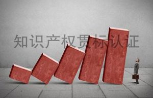 知识产权贯标认证的条件，贯标认证好处，申请贯标流程