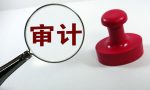 2022审计报告出具费用