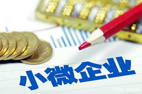 如何做企业小微法人贷款，税贷票贷的利息额度是多少？条件？