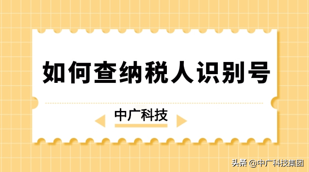 如何查纳税人识别号?相关作用是什么?