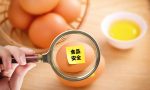 ｑｓ食品质量安全认证要多少钱能办到