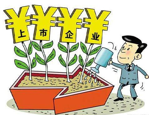 公司上市需要哪些条件?公司上市的流程是怎样的?