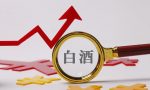 白酒生产许可证办理流程，潍坊白酒生产许可证办理条件