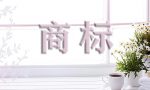 驰名商标应该怎样申请？北瓜网告诉你这样做