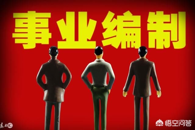 事业单位编制分类