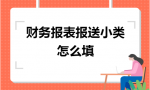 财务报表报送小类怎么填