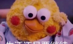 会计实操培训费用大概多少？