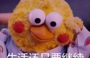 会计实操培训费用大概多少？