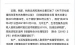 一般纳税人增值税加计抵减政策、如何申报