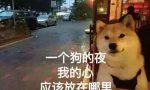 吃喝（餐饮）都是怎么交税的？
