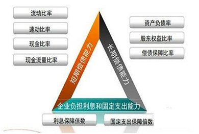 长期偿债能力分析指标包括哪些内容?