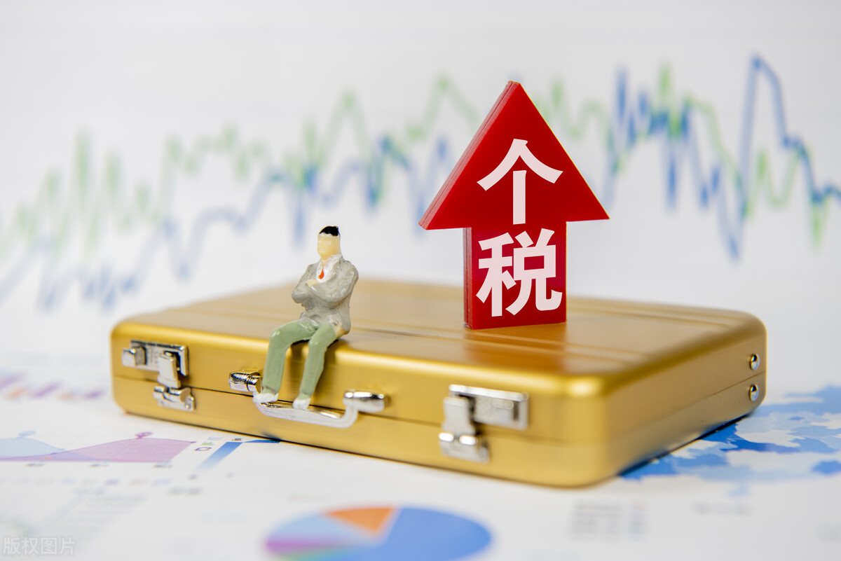 一般纳税人网上怎么报税?