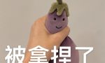 会计实操是线上好，还是线下好，财务主管亲自解答